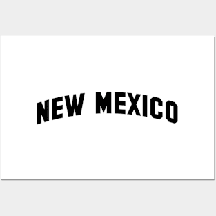 New Mexico Posters and Art